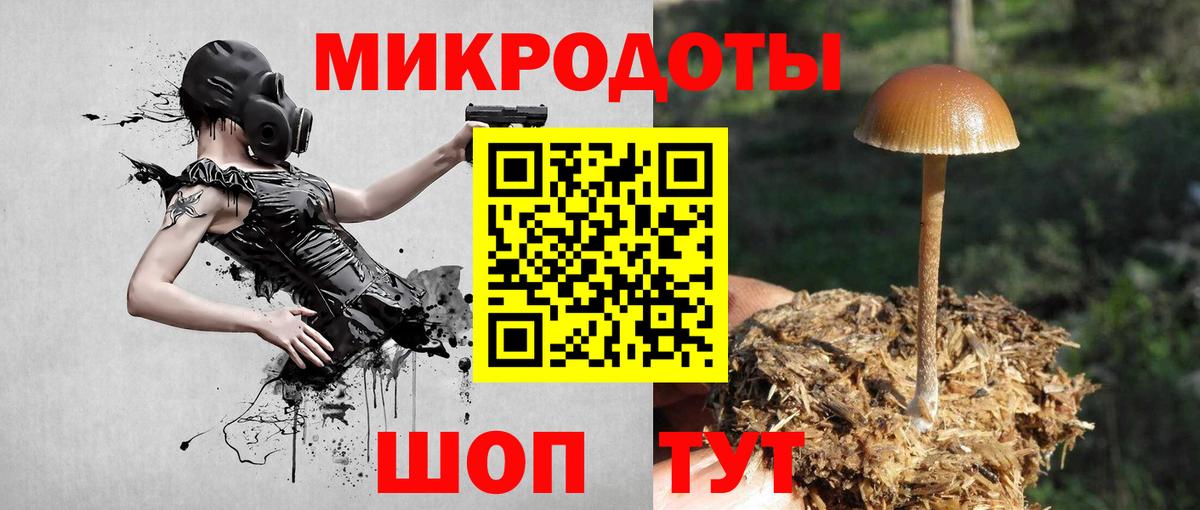 Галлюциногенные грибы Psilocybe  Вход с VPN  Ачинск 